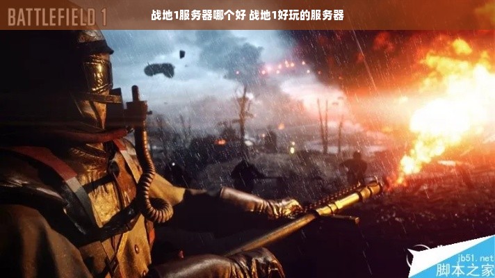 战地1玩家通常登录哪些类型的服务器？