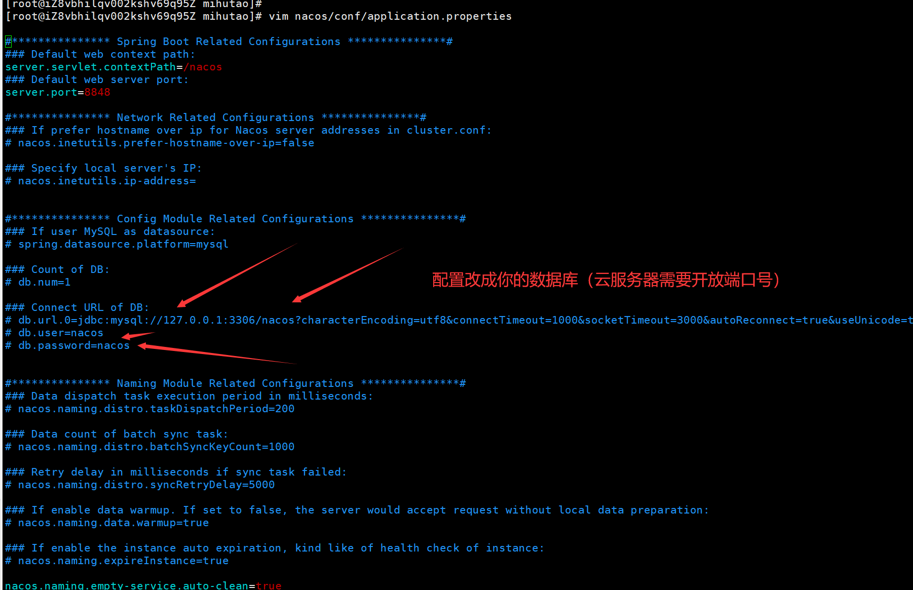 linux部署nacos访问不了怎么解决