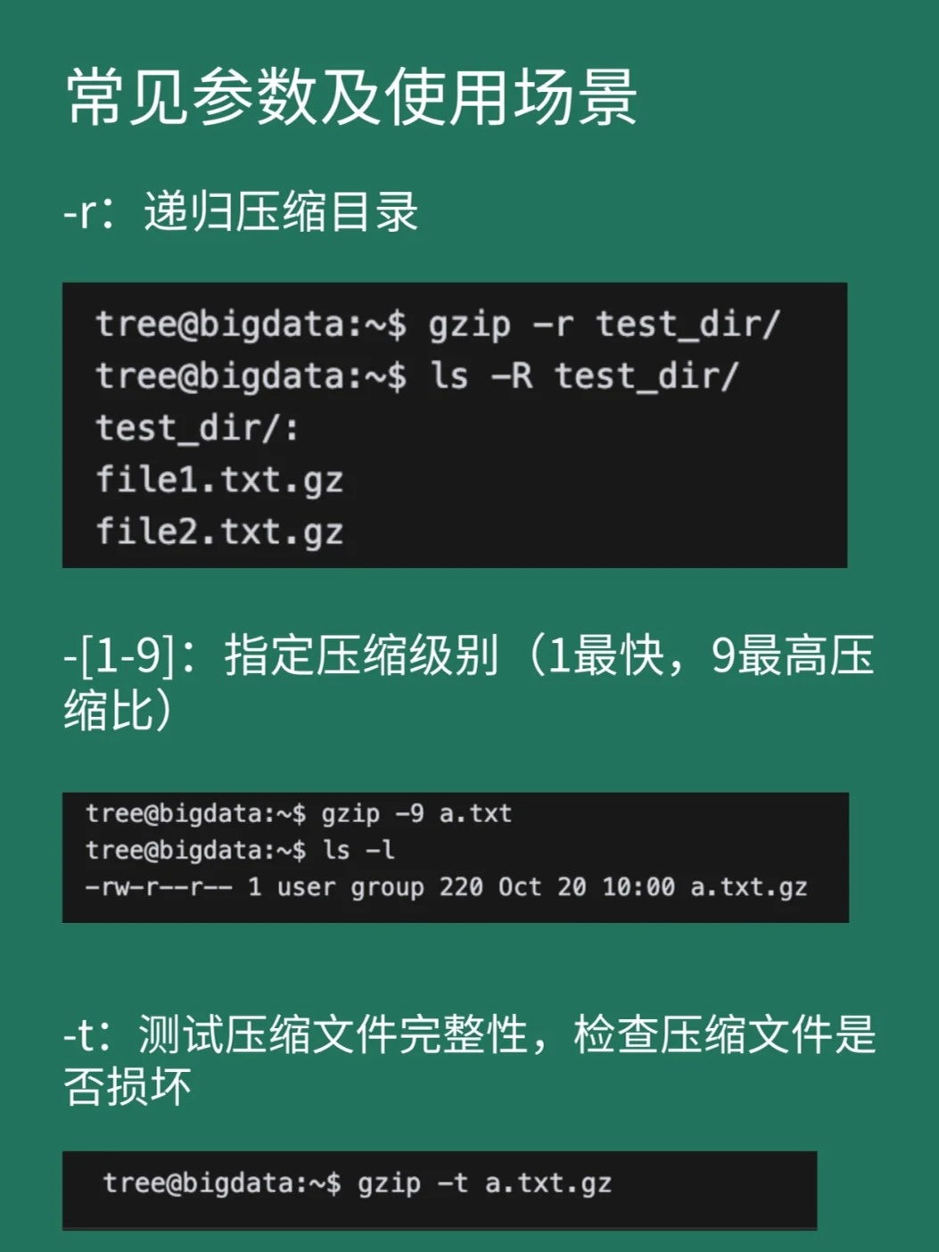 如何在C中实现GZip压缩和解压缩的入门实例？