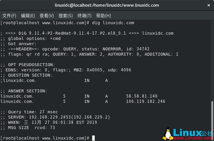 dig linux 安装  第1张
