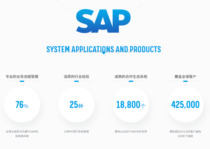 SAP 托管费用是多少？  第1张