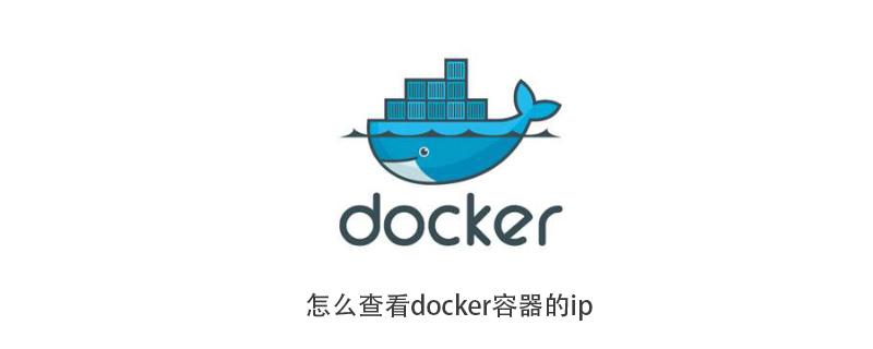 docker容器状态查看的方法是什么