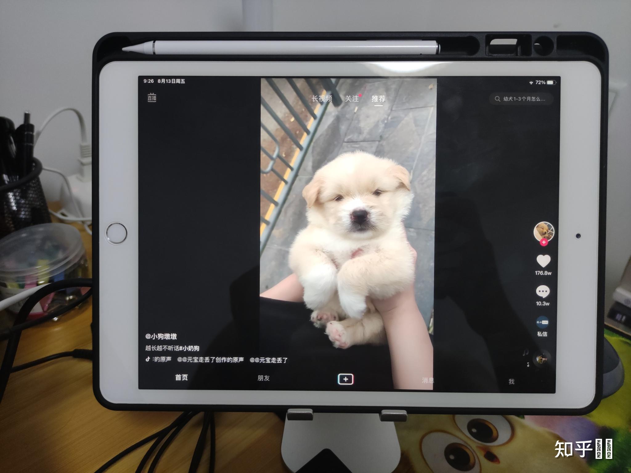 ipad为什么搜不到抖音