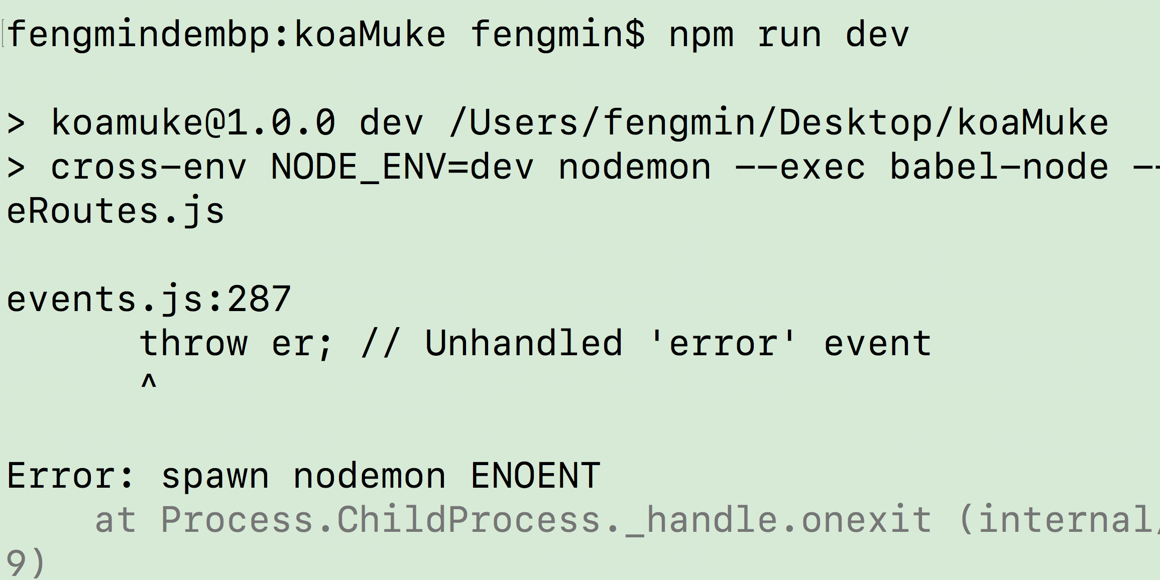 vscode npm run dev报错