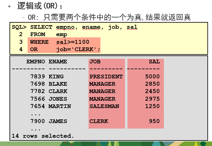 Oracle减去三位自由多彩  第1张