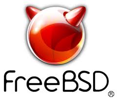 FreeBSD上怎么安装软件包  第1张
