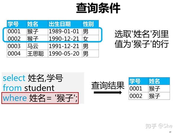 c#数据库查询两个条件  第1张