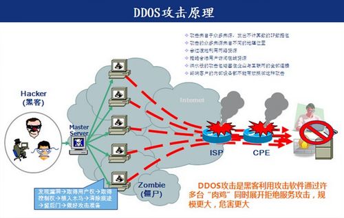 DDoS原生防护的效果如何？