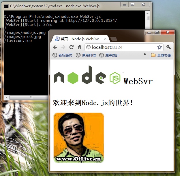 服务器上node.js  第1张