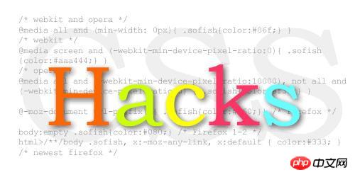 CSS Hack 剧中对其，技术背后的创意与挑战？