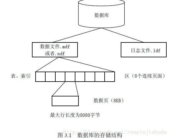 存储结构体的数据库设计