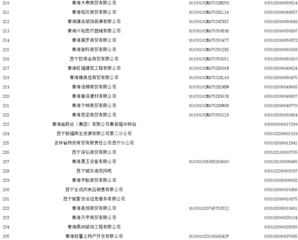 在西宁成立分公司或子公司时，能否将其网站备案归入总公司名下？