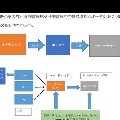 如何通过观看服务器开发教程视频来提升我的编程技能？