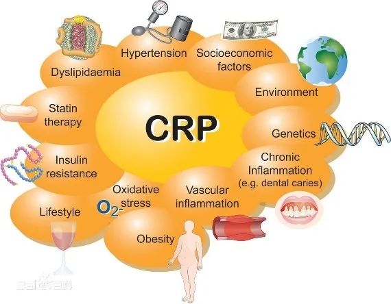 什么是CRP证书？它有哪些用途和价值？
