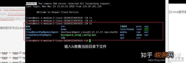 服务器Linux系统安装步骤与教程  第1张
