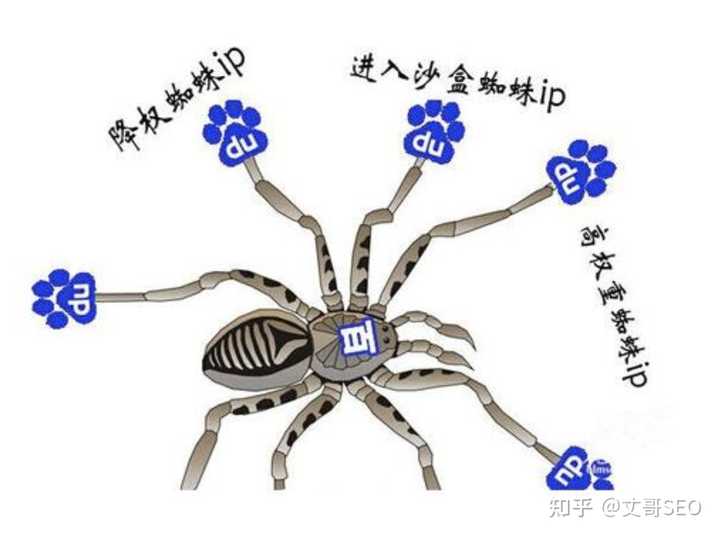 如何有效提高蜘蛛爬取的频率？  第1张