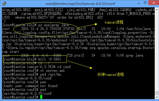 linux怎么部署tomcat的war包  第1张