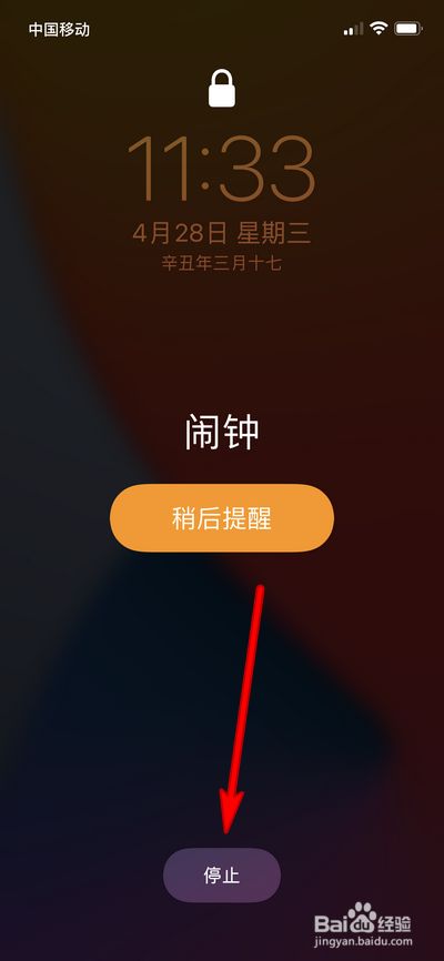 如何在 iPhone 上关闭闹钟 [2023]  第1张