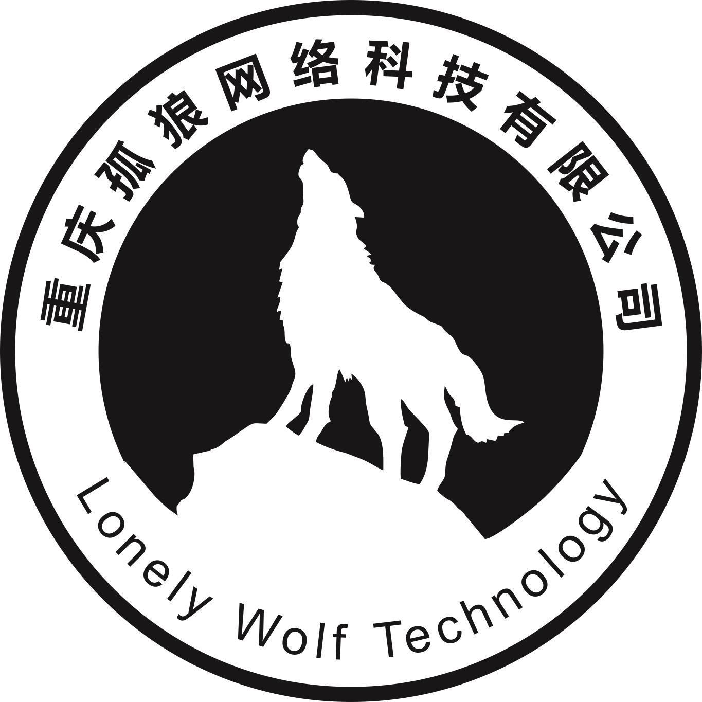 夜狼网络科技有限公司  第1张