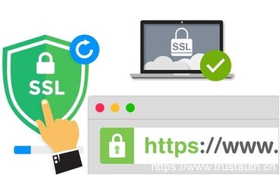 ASP.NET版，如何优化性能与安全防护？
