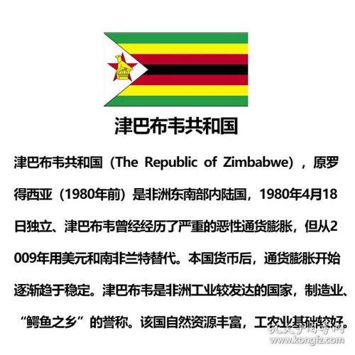 津巴布韦网络怎么样  第1张