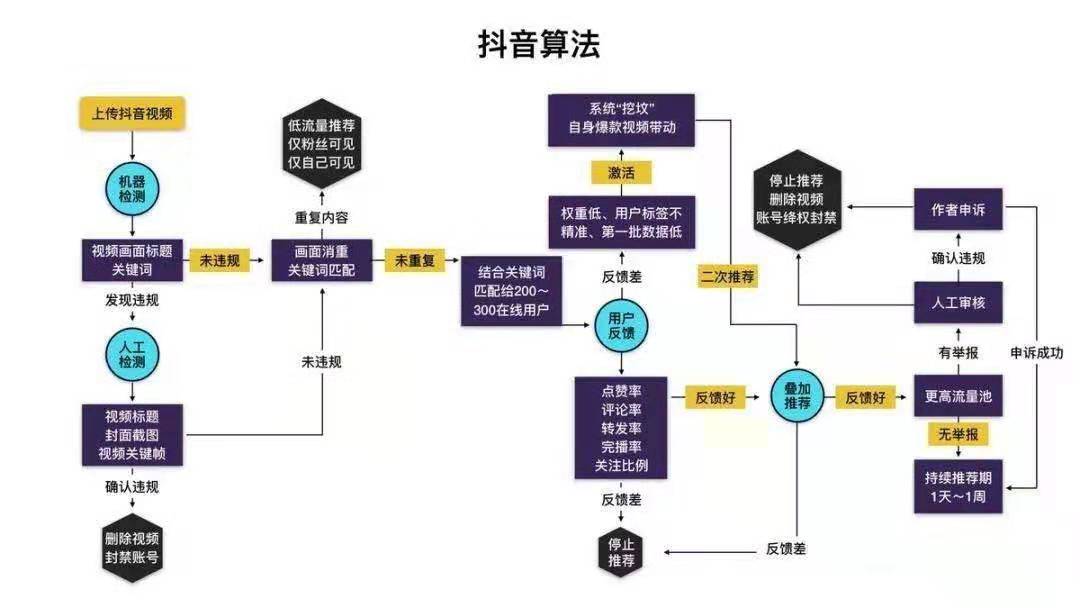 抖音运营技巧