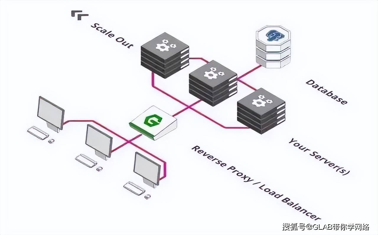 如何掌握服务器应用教程的精髓？