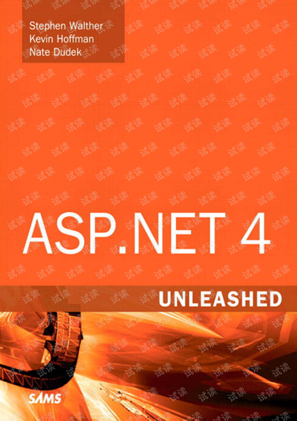 关于ASP.NET 4安装的疑问与挑战  第1张