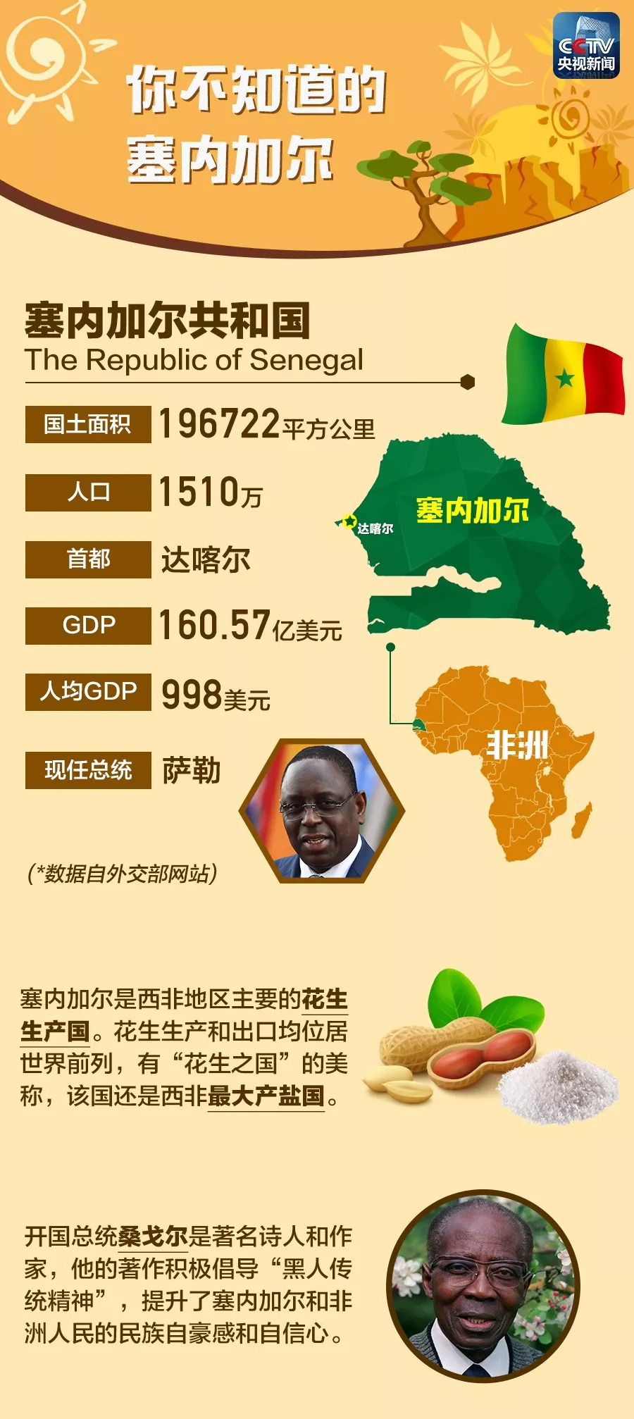 塞内加尔网络怎么样  第1张