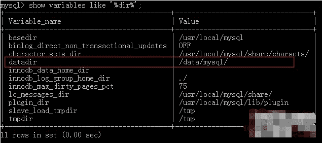 怎么修改mysql数据的存储路径格式