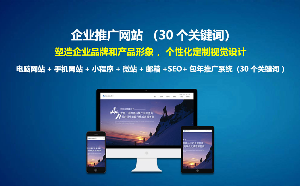 国内做企业网站的公司哪家好  第1张