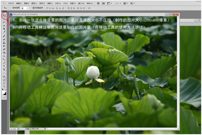 如何通过Photoshop虚化背景来强化视觉焦点？