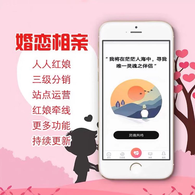 做软件的平台有哪些,相亲平台有哪些软件,相亲软件开发