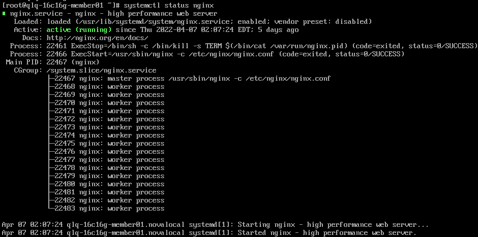服务器启动nginx  第1张