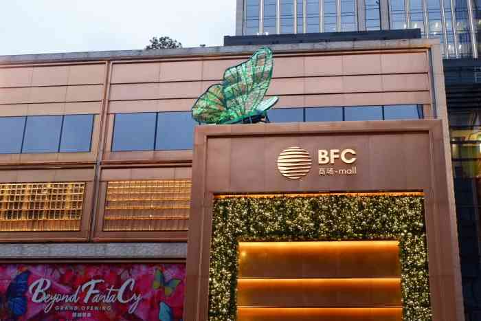bfc是什么  第1张