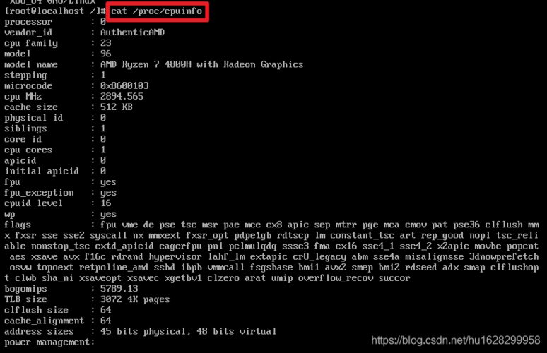 如何在linux服务器中使用命令检查内核版本信息  第1张