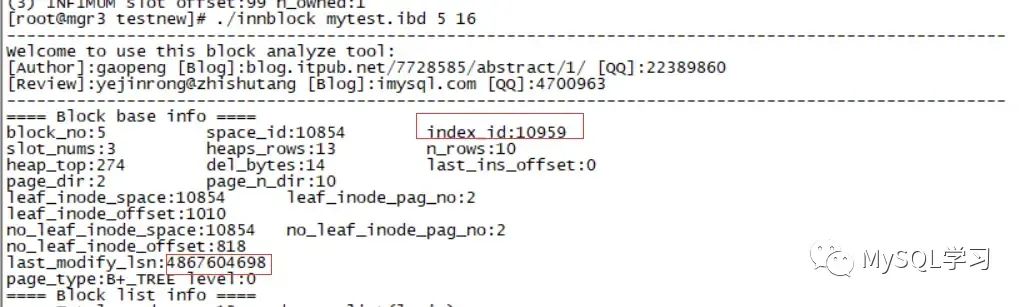 mysql怎么设置一个字段不更新数据  第1张