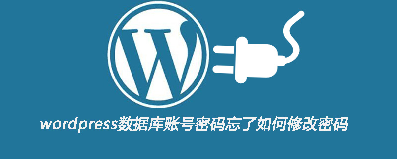 wordpress数据库账号密码忘了如何修改  第1张