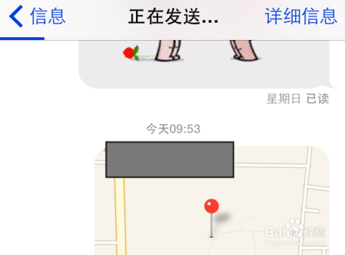 使用 iPhone 分享位置的 8 种方法  第1张