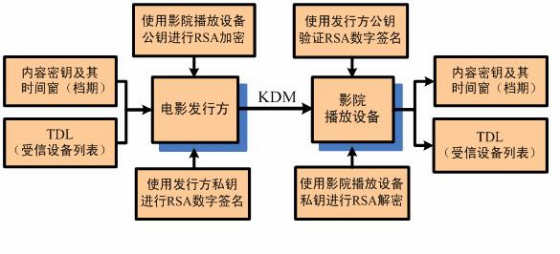 如何在因特网电影数据库中进行数据开发处理？