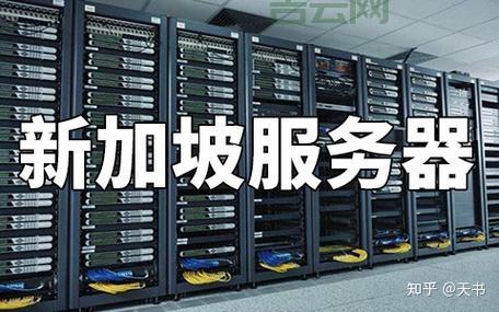 新加坡站群服务器为什么受欢迎