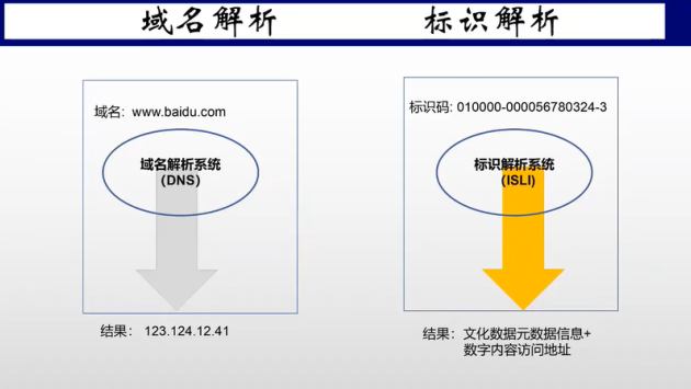域名注册信息模板中包含哪些关键要素，使得注册过程更加标准化和高效？