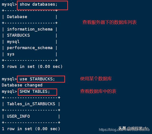 如何在MySQL数据库中插入数据？  第1张
