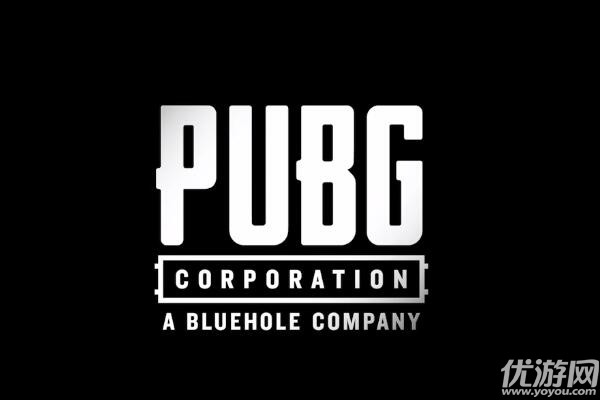 .pub 域名  第1张