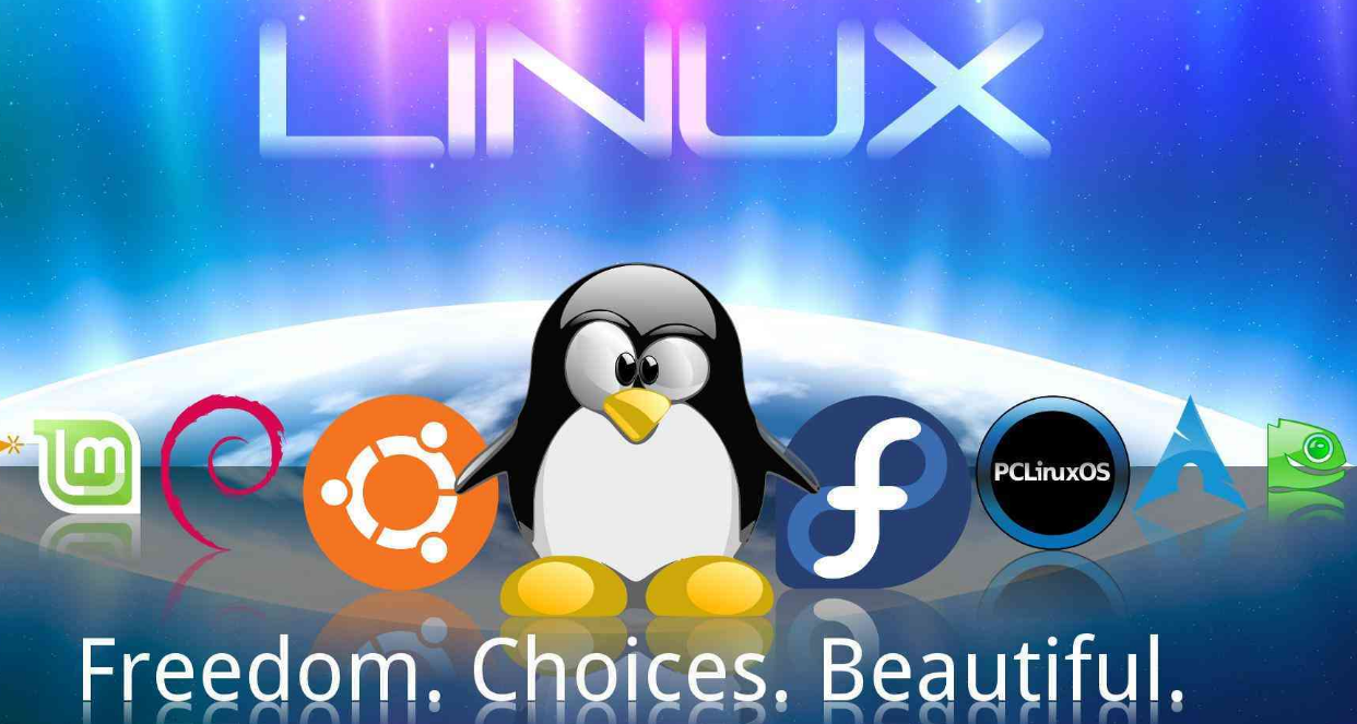 FindLinux一层，探索Linux世界的入门指南？