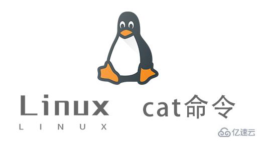 一个简单的linux命令 cat