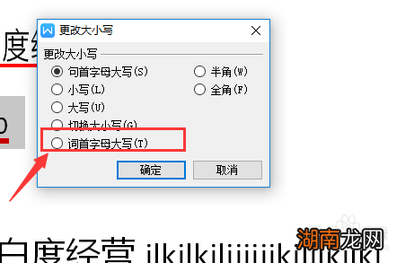 wps为什么不能小写