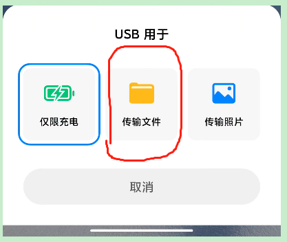 为什么传文件显示  第1张