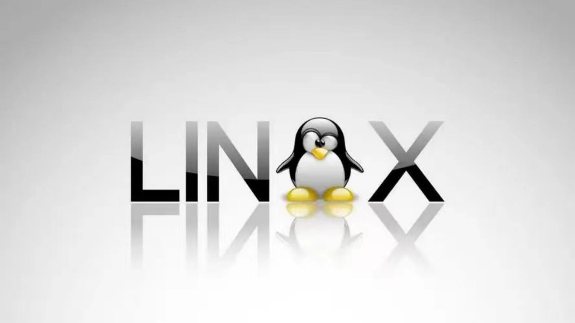 linux中的wwn是什么  第1张